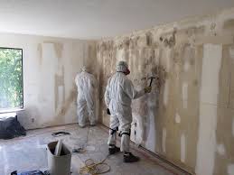 Best Mold Prevention Services  in Bangor, PA